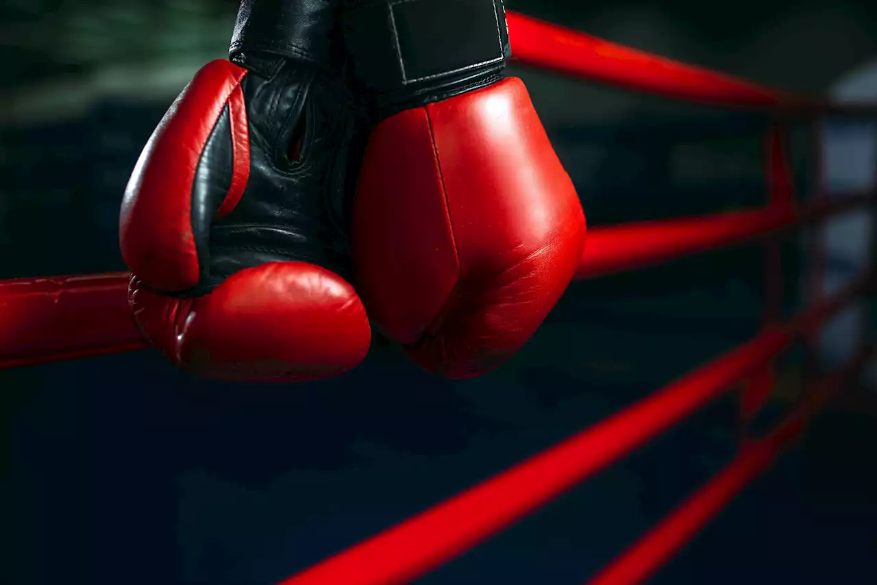 Team of Newfoundland boxers travel to Ontario to take on Sarnia boxers | SaltWire