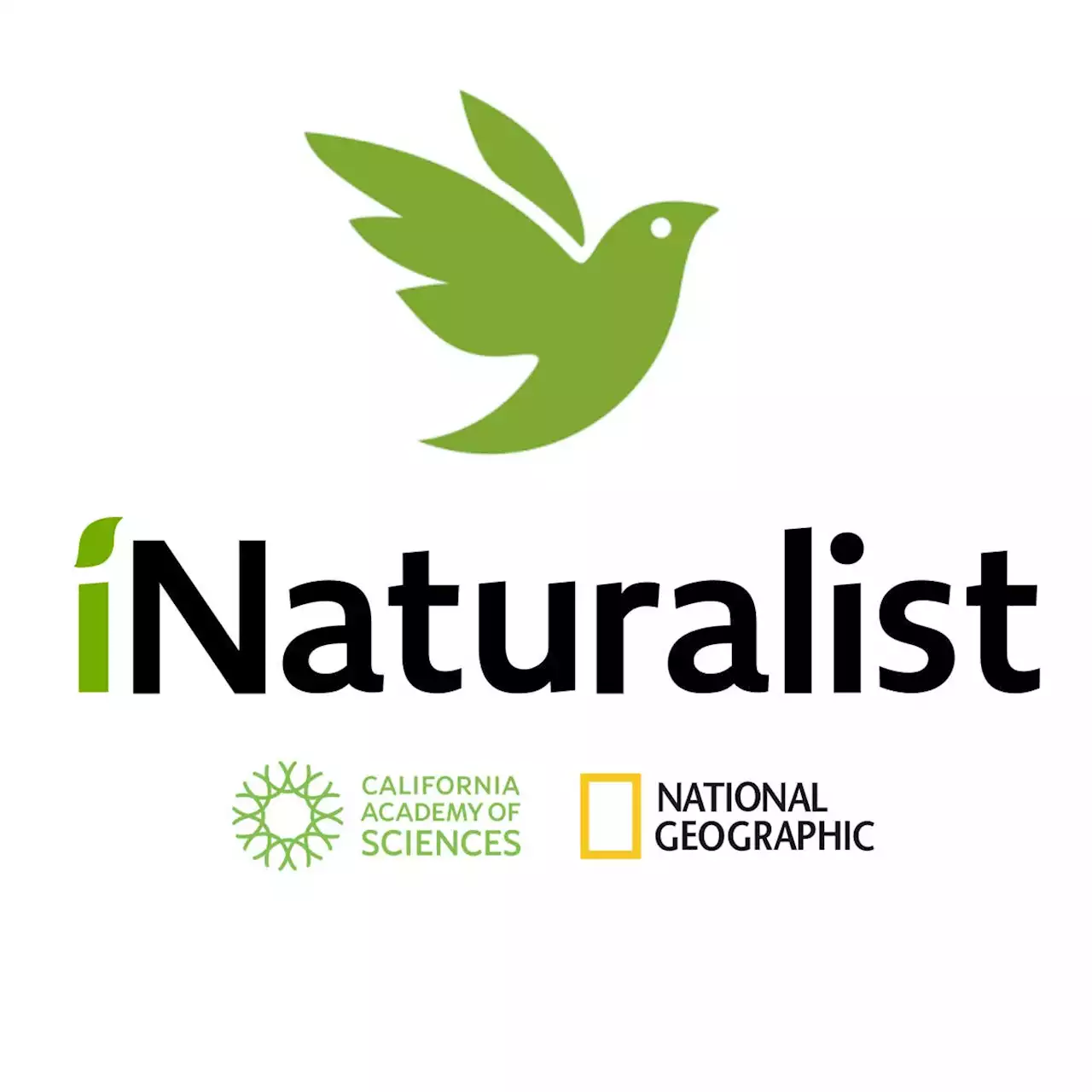 Walk in the Woods: Great nature related apps to help identify and understand | SaltWire