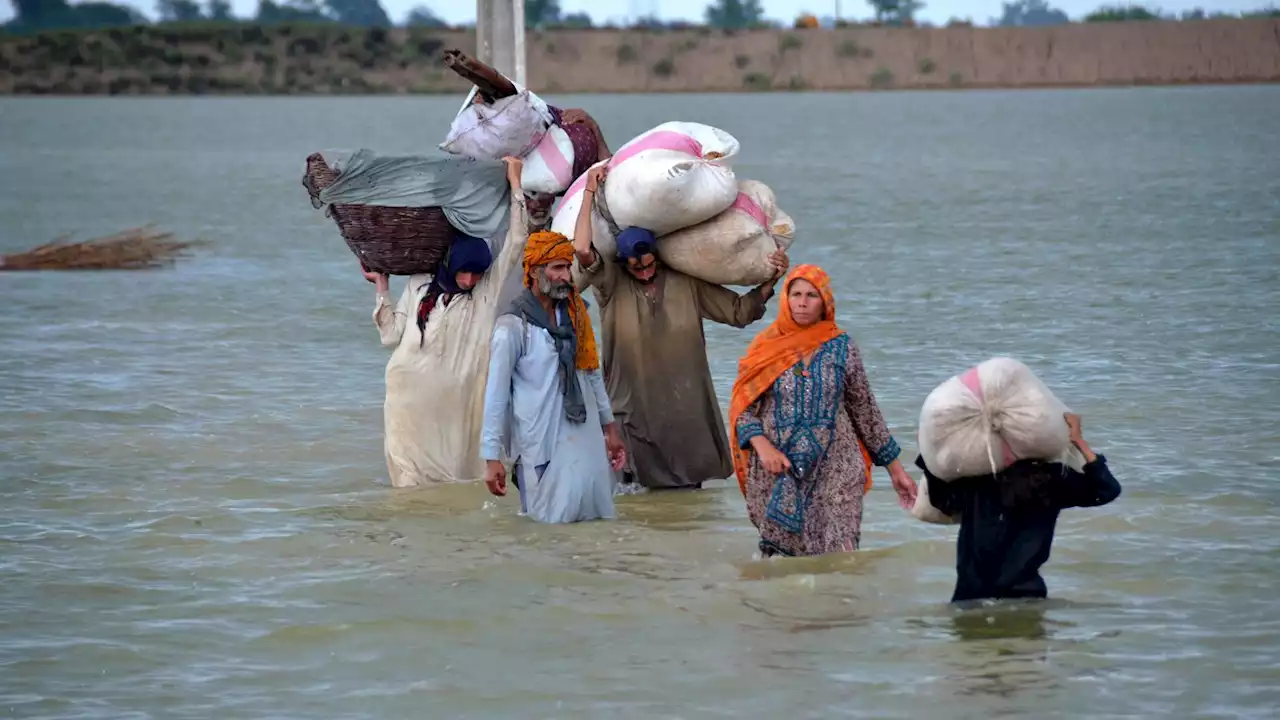 Pakistan calls for international help after months of flooding cause 'humanitarian disaster'