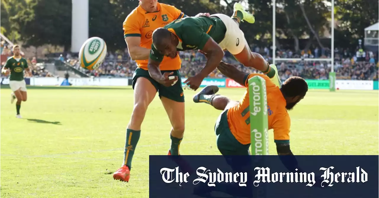 Koroibete stars as Wallabies down Springboks