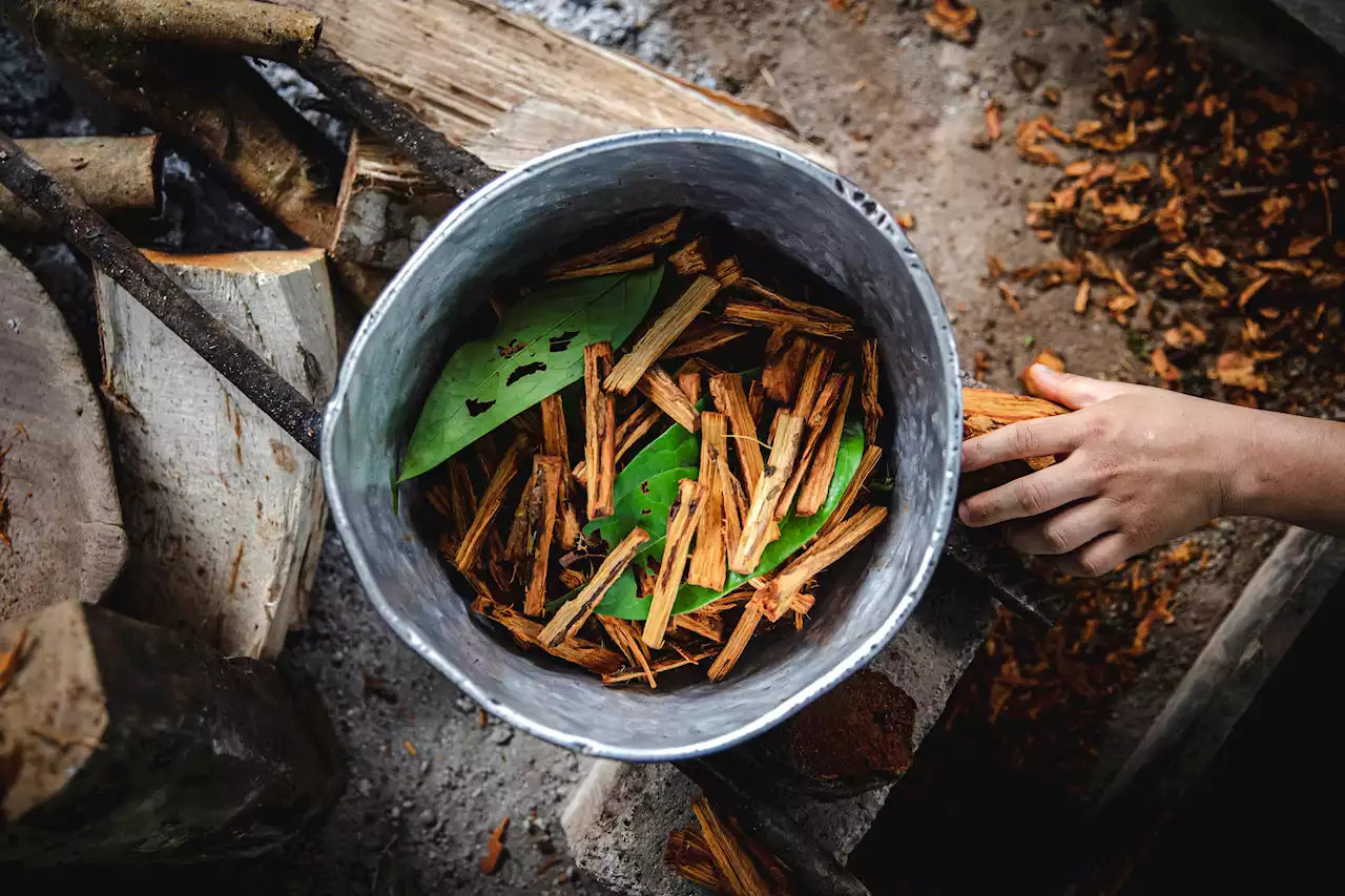 Taking Psychedelics Could Make People Less Afraid of Dying