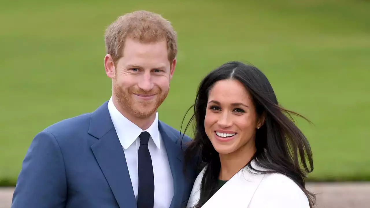 Prince Harry and Meghan Markle Adopt an “Older, Traumatized” Beagle