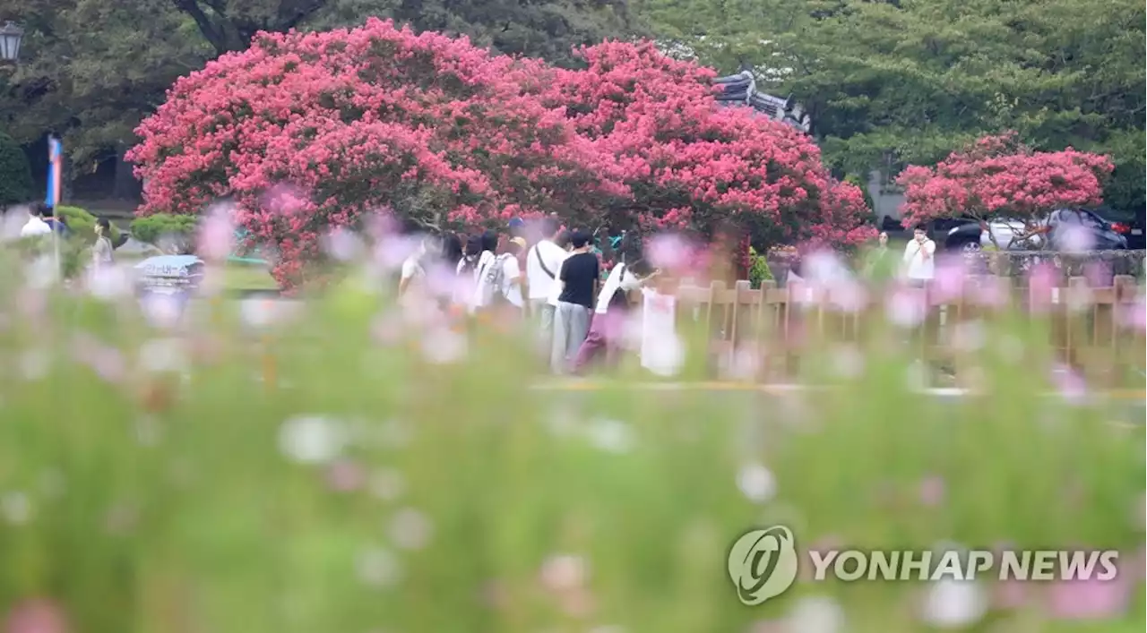 '가을의 문턱'…전국 유명 산과 공원 인파로 북적 북적 | 연합뉴스