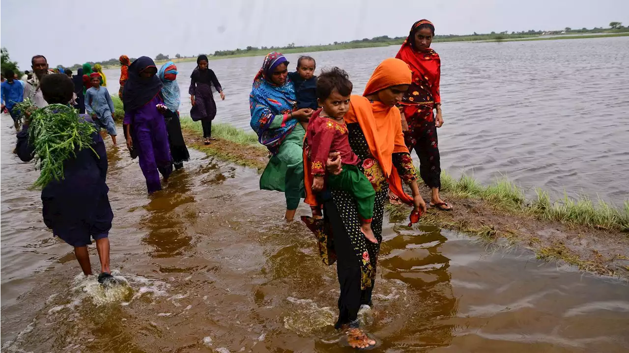 Pakistan dubs floods 'climate catastrophe' as deaths surpass 1,000