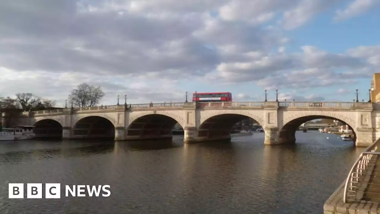 Man dies after entering River Thames during arrest