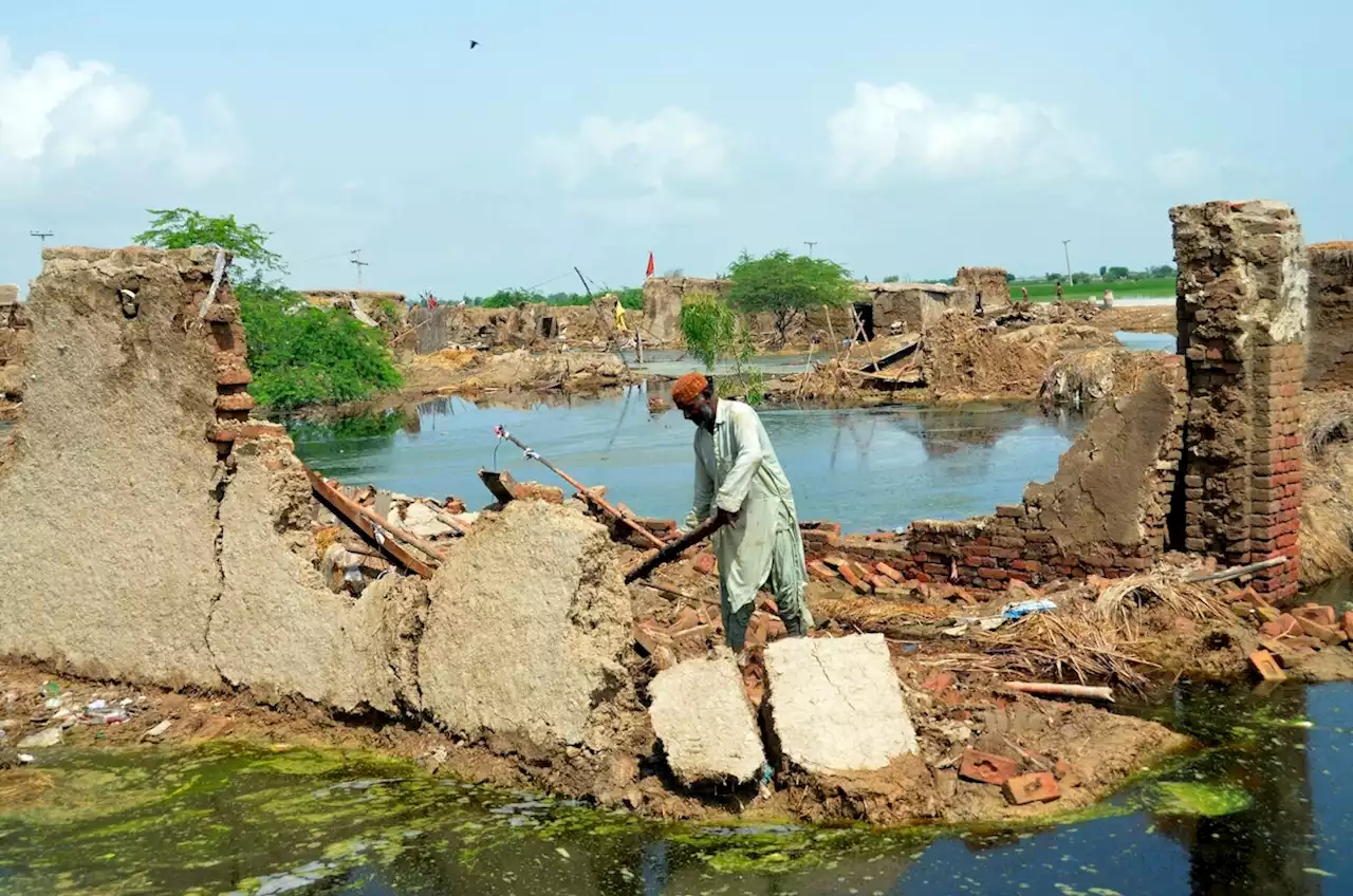 Mehr als 1000 Tote bei Flutkatastrophe in Pakistan