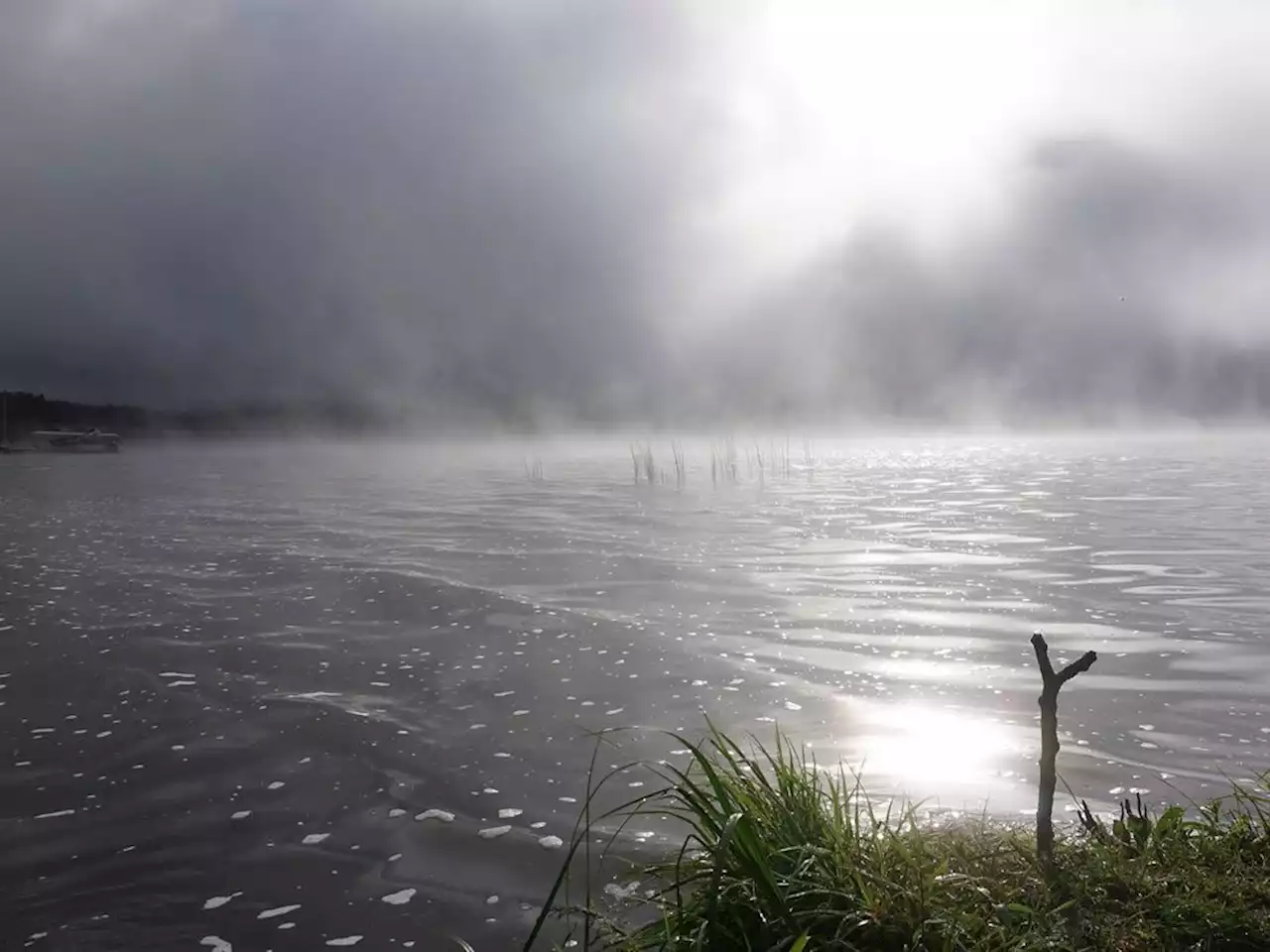 Blue-green algae bloom advisory issued for Wabamun Lake