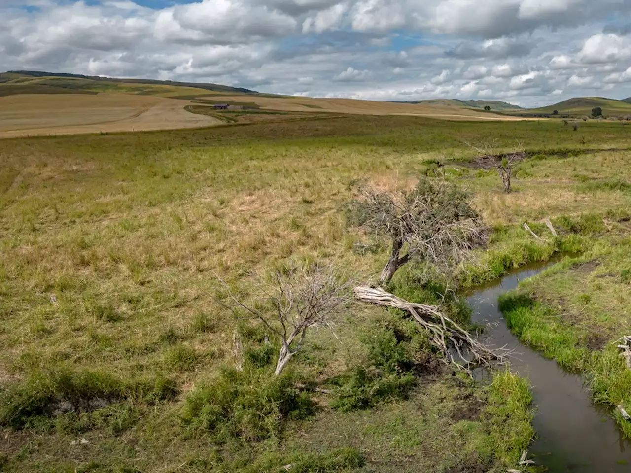 On The Road with Mike Drew: Clearly impressive summer landscapes