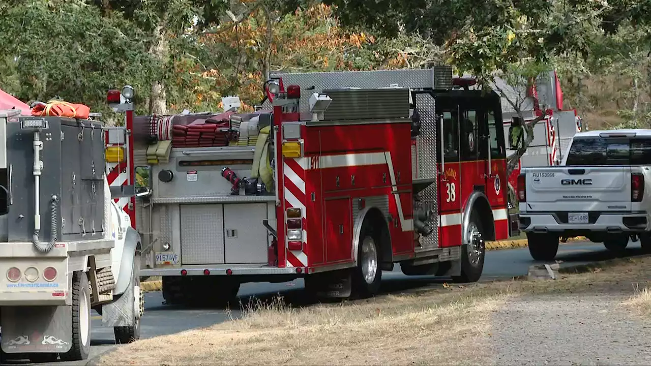 Wildfire at Thetis Lake Regional Park 'being held': BC Wildfire Service