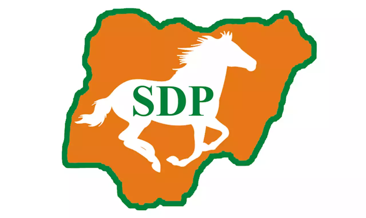 We won’t merge with any party – SDP presidential candidate