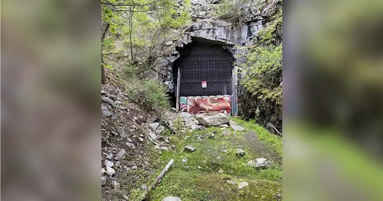 Regional district eyeing possibility of reopening historic Adra Tunnel on KVR Trail - Okanagan | Globalnews.ca