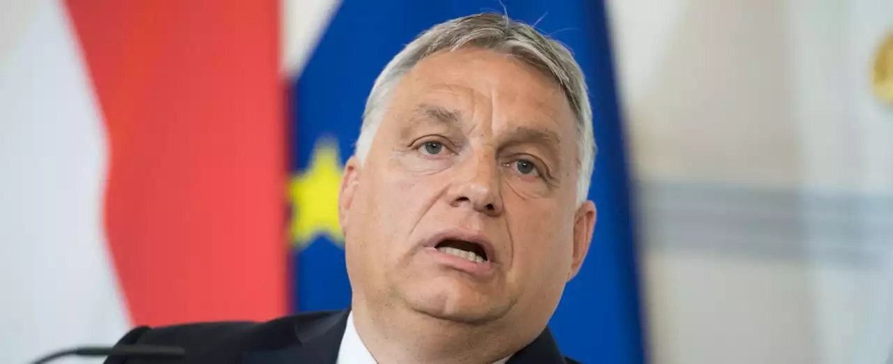 L'Ungheria di Orban teme le donne prof: potrebbero femminilizzare il maschio