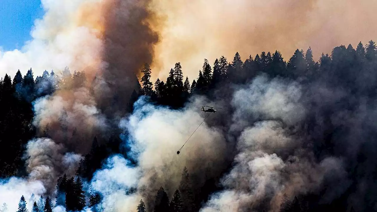 Oregon fire quadruples in size; governor declares emergency