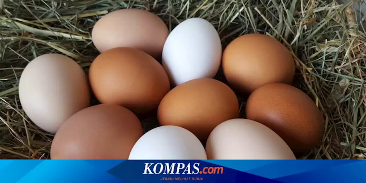 8 Bahan Pengganti Telur untuk Memanggang