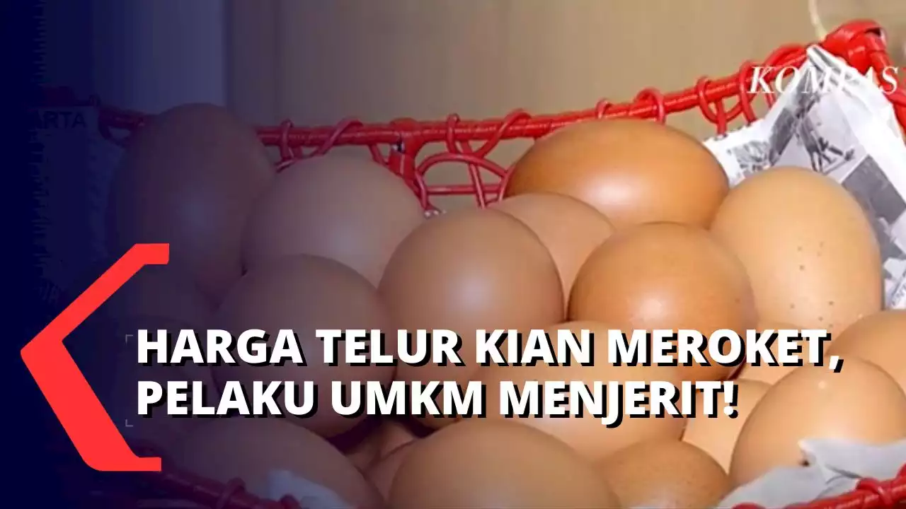 Makin Lama Makin Naik, Harga Telur di Jakarta Buat Para Pengusaha Kue Menjerit!