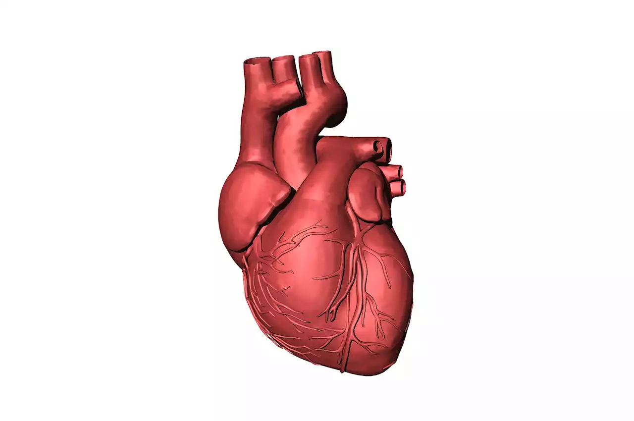 Population-based study: Autoimmune disorders increase risk of cardiovascular disease