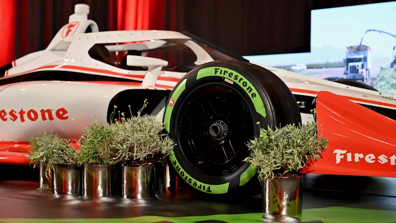 Farm to asphalt: Bridgestone creates tires with desert shrubs