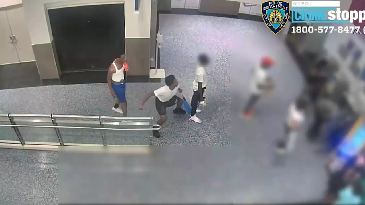 Alleged Sucker-Punch Attacker Arrested for Knocking Man Out Cold at Brooklyn Mall