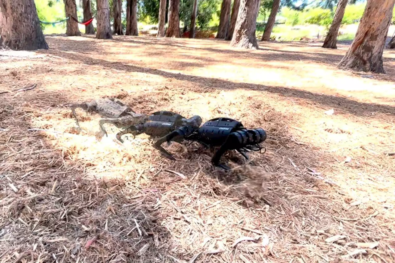 Robot dog learns to walk on tough terrain in just 20 minutes