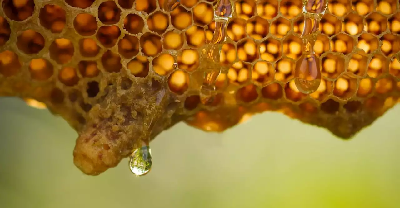 FACT CHECK: Is 'Sour Honey' a Cure for Cancer?