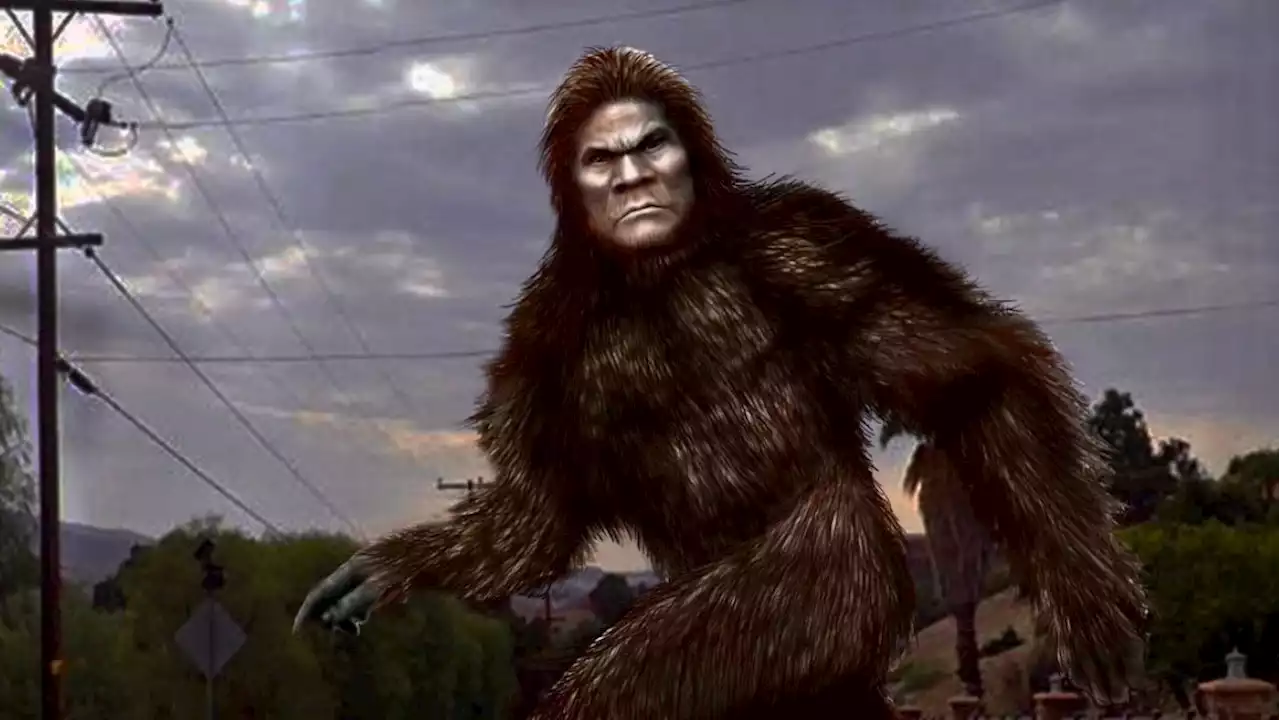 Texas woman investigates Sasquatch sightings