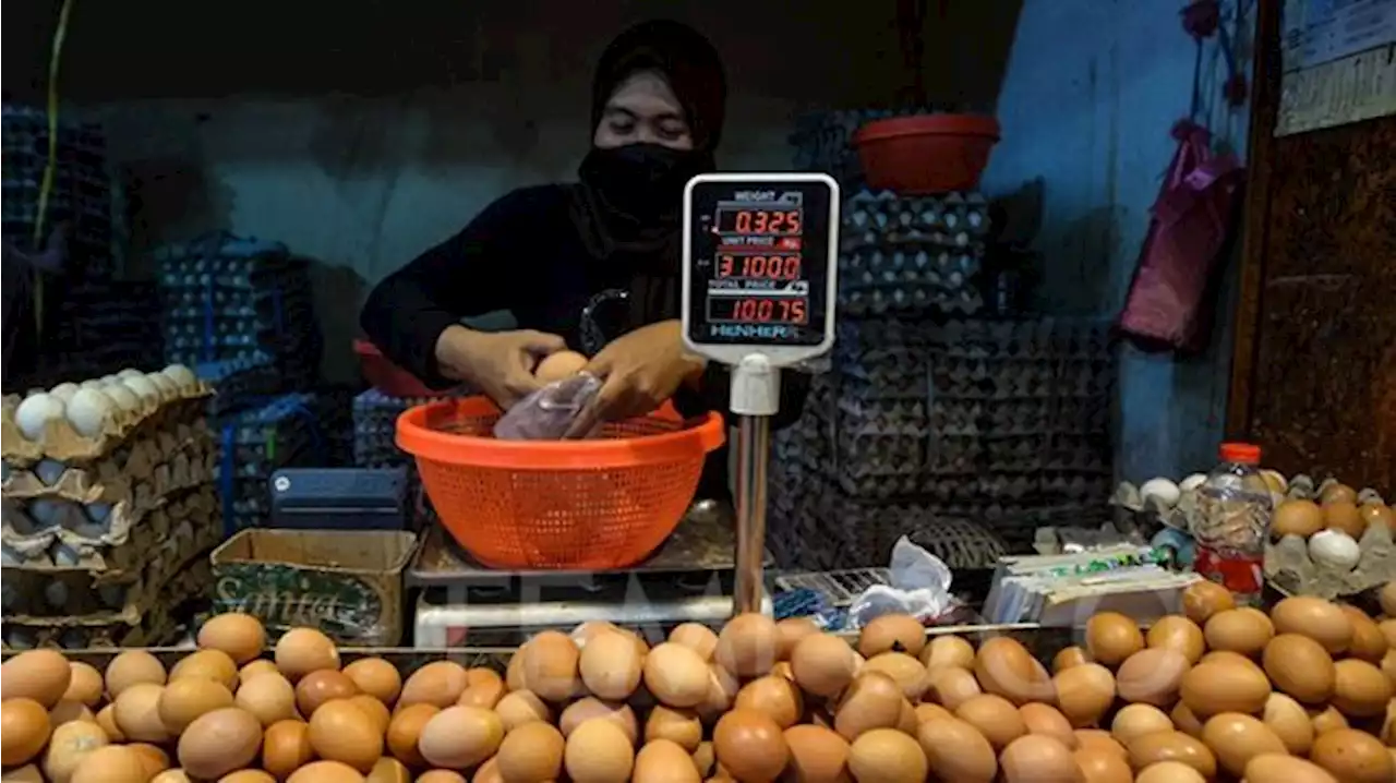 Harga Telur Tembus Rp 32 Ribu, Pedagang Pasar Mulai Kurangi Stok