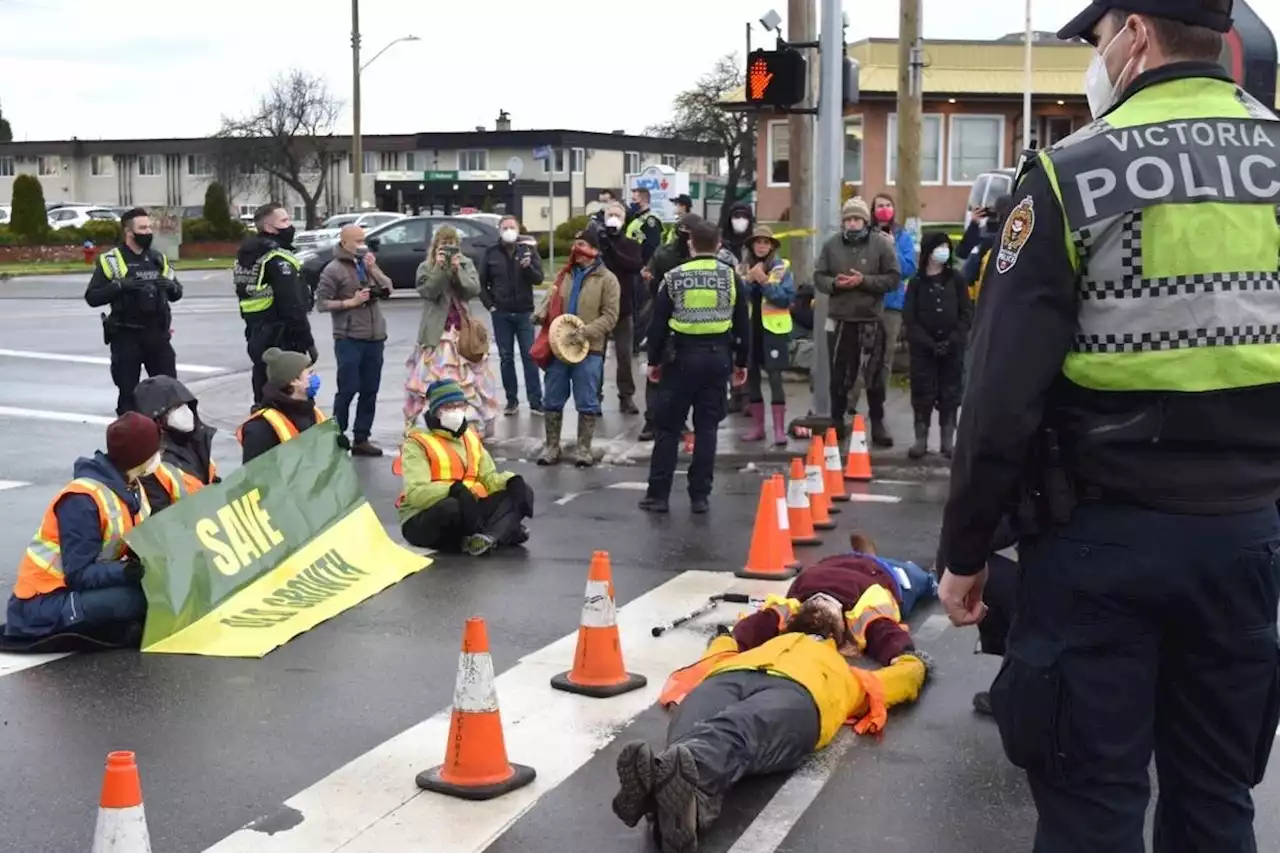 B.C. judge accuses Save Old Growth of using volunteer protesters as ‘sacrificial lambs’ - Terrace Standard