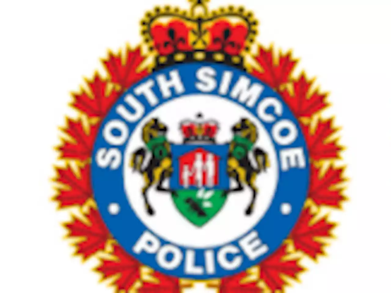 Woman dead in skydiving incident in Innisfil, Ont., police investigating