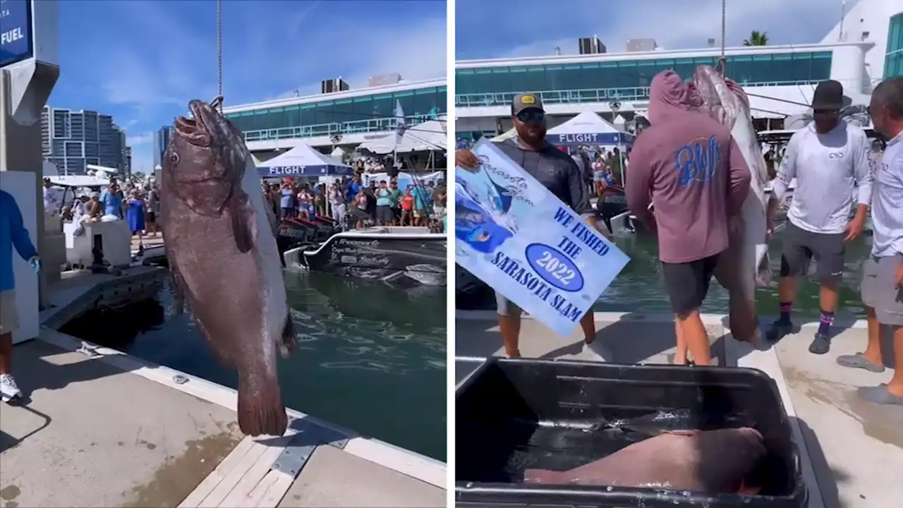 Tom Cruise's Son Connor Hooks 300-lb Fish in Florida