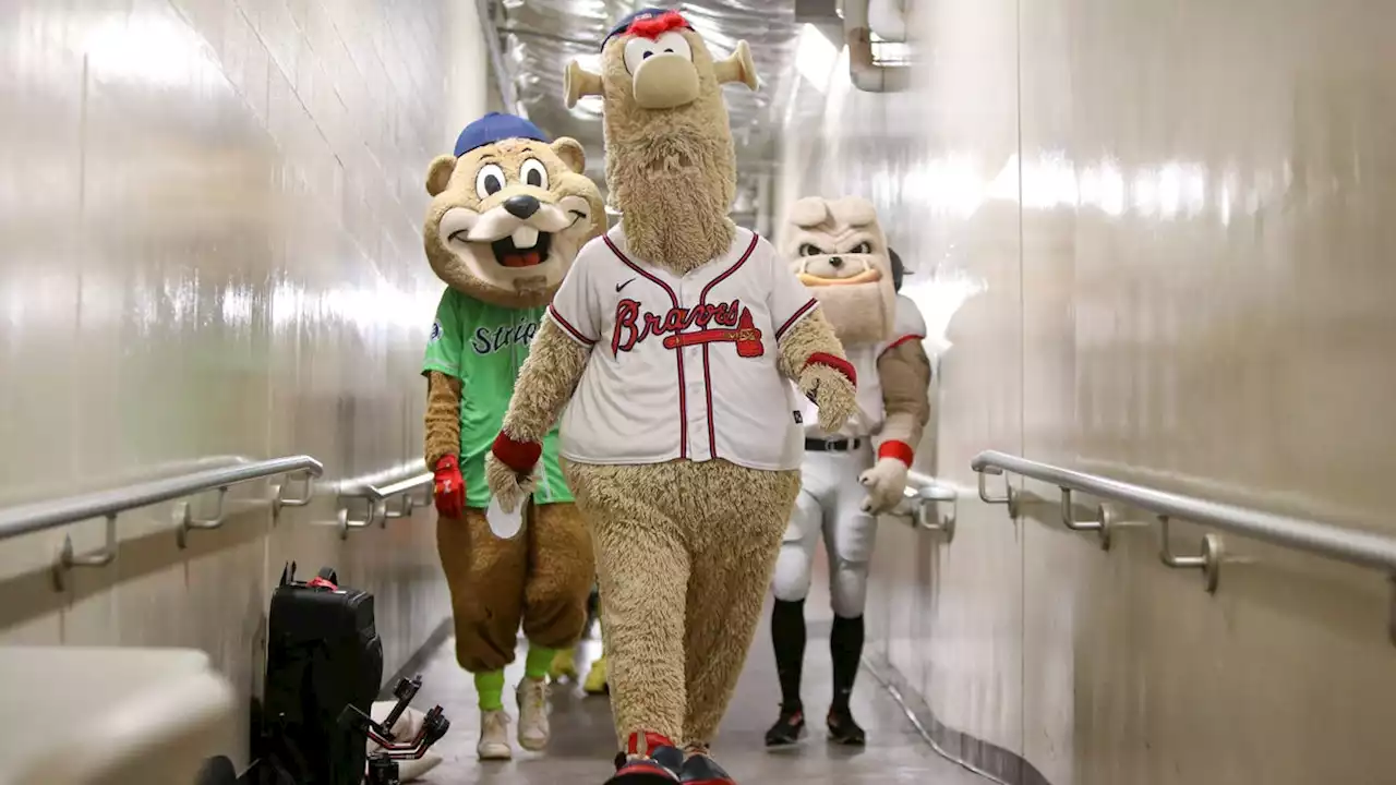 Atlanta Braves mascot Blooper stiff-arms children during football game