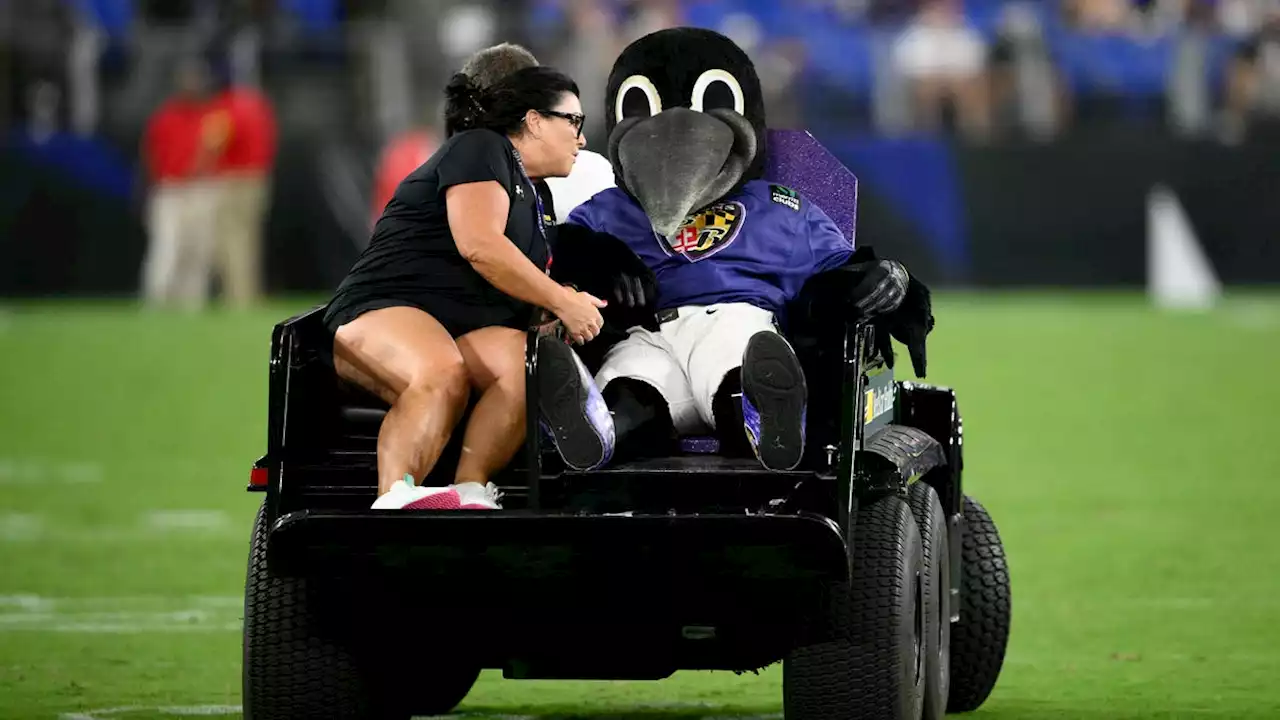 Ravens mascot Poe carted off at halftime after suffering apparent injury