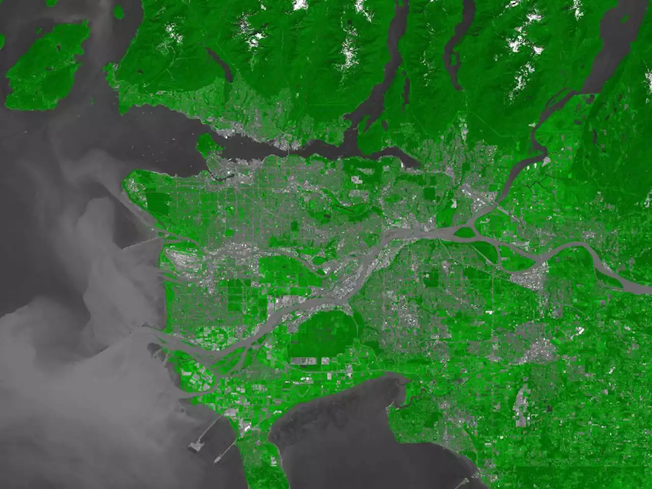 How green is your Metro Vancouver city?