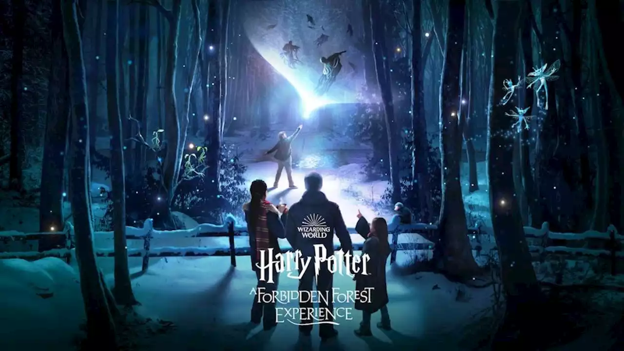 ‘Harry Potter: A Forbidden Forest Experience’ to Make U.S Debut