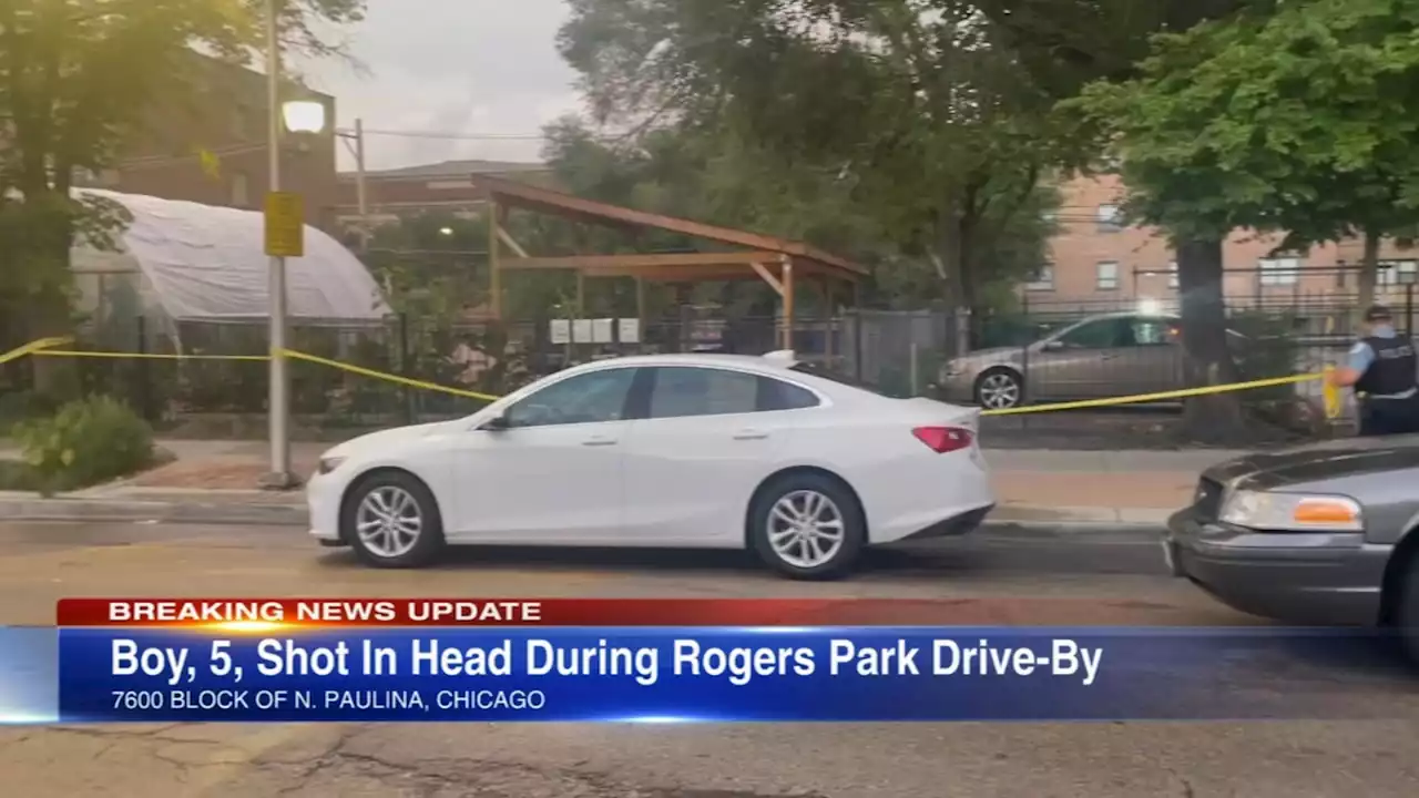 Chicago shooting: Boy, 5, shot in head in Rogers Park days after starting school, family says