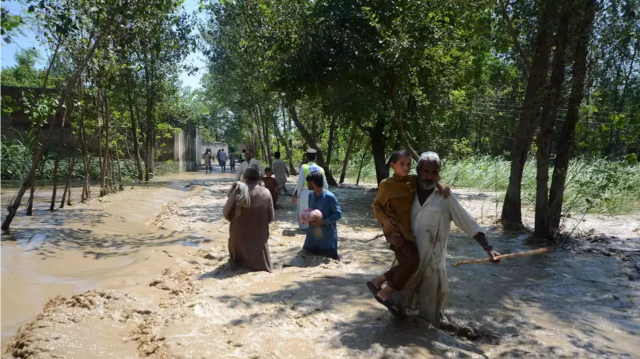 In photos: Catastrophic flooding devastates Pakistan as heavy rains lash parts of the country