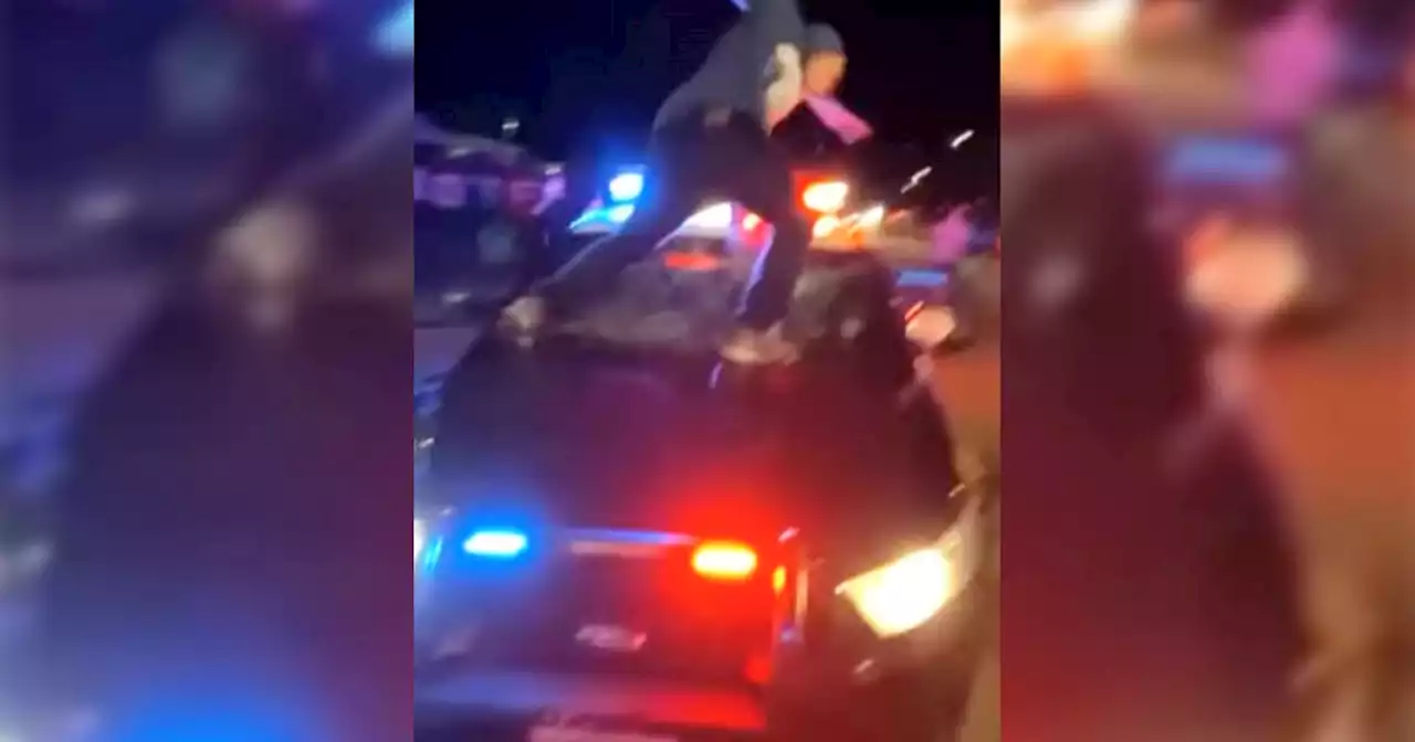 Wasaga car rally antics caught on video include people smashing in cop car windows