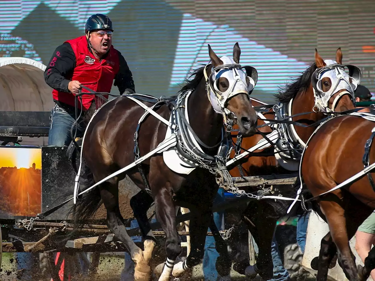 Kris Molle caps impressive chuckwagon racing season with Century Downs title