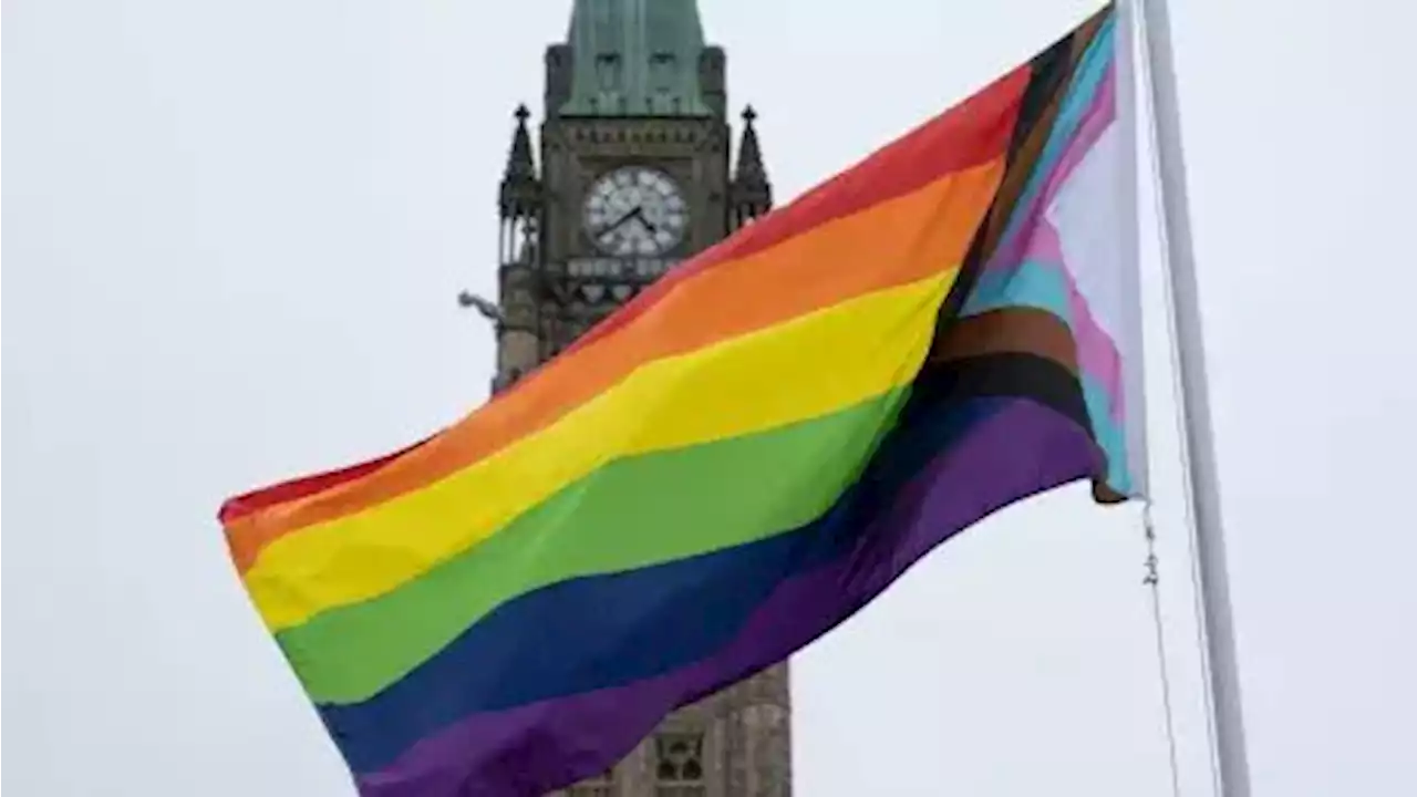 Family doctors a critical piece of transition health care, trans advocates say | CBC News