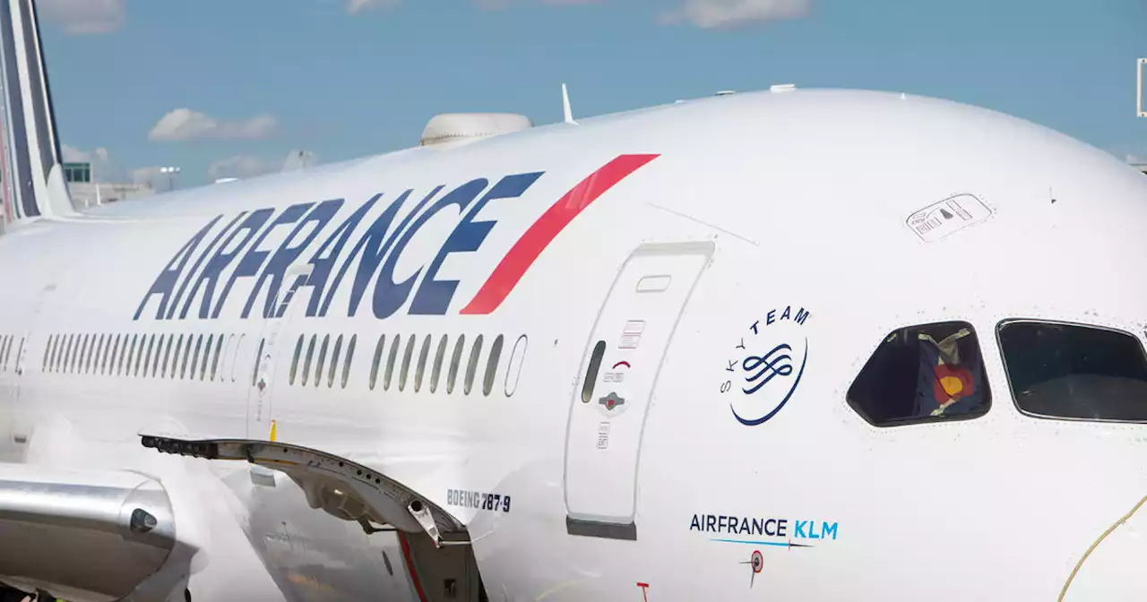 2 Air France pilots suspended after fighting in cockpit