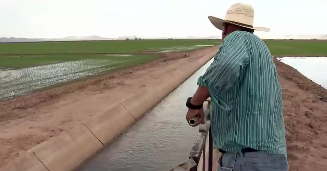 Experts concerned with certain California crops taking up too much water during drought