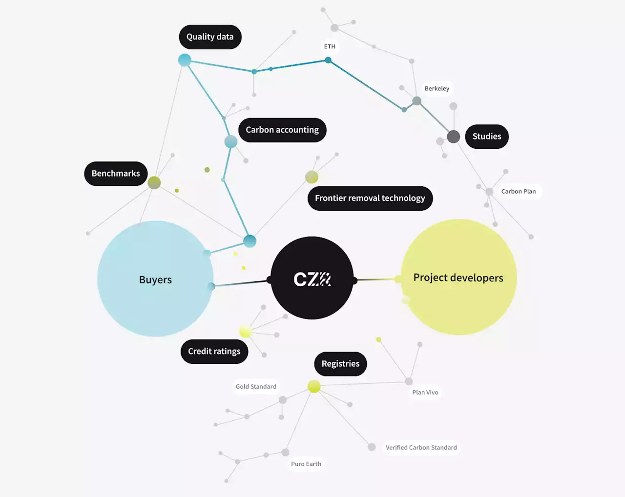 Interview With Magnus Drewelies, Founder Of Carbon-Credit Procurement Platform Ceezer