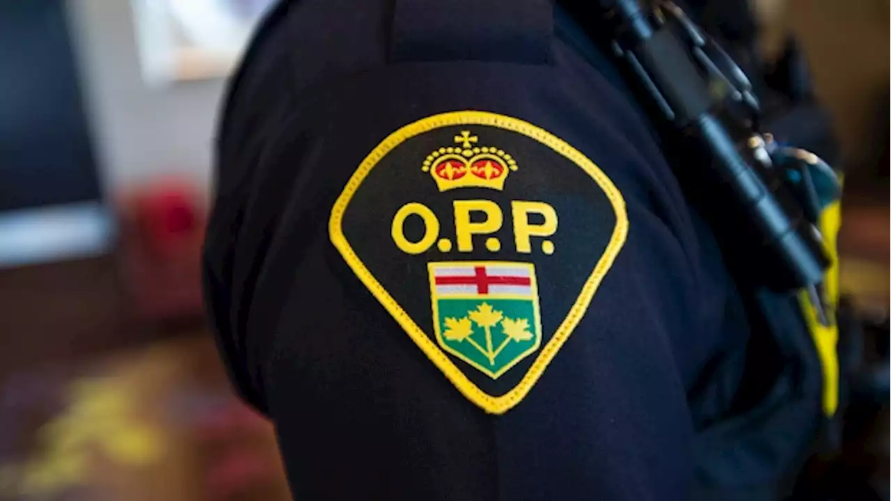 OPP vehicles, big box stores vandalized over the weekend in Wasaga Beach