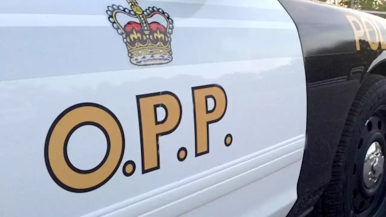 Four charged in roadside assault on Highway 401 in Kingston. Ont.