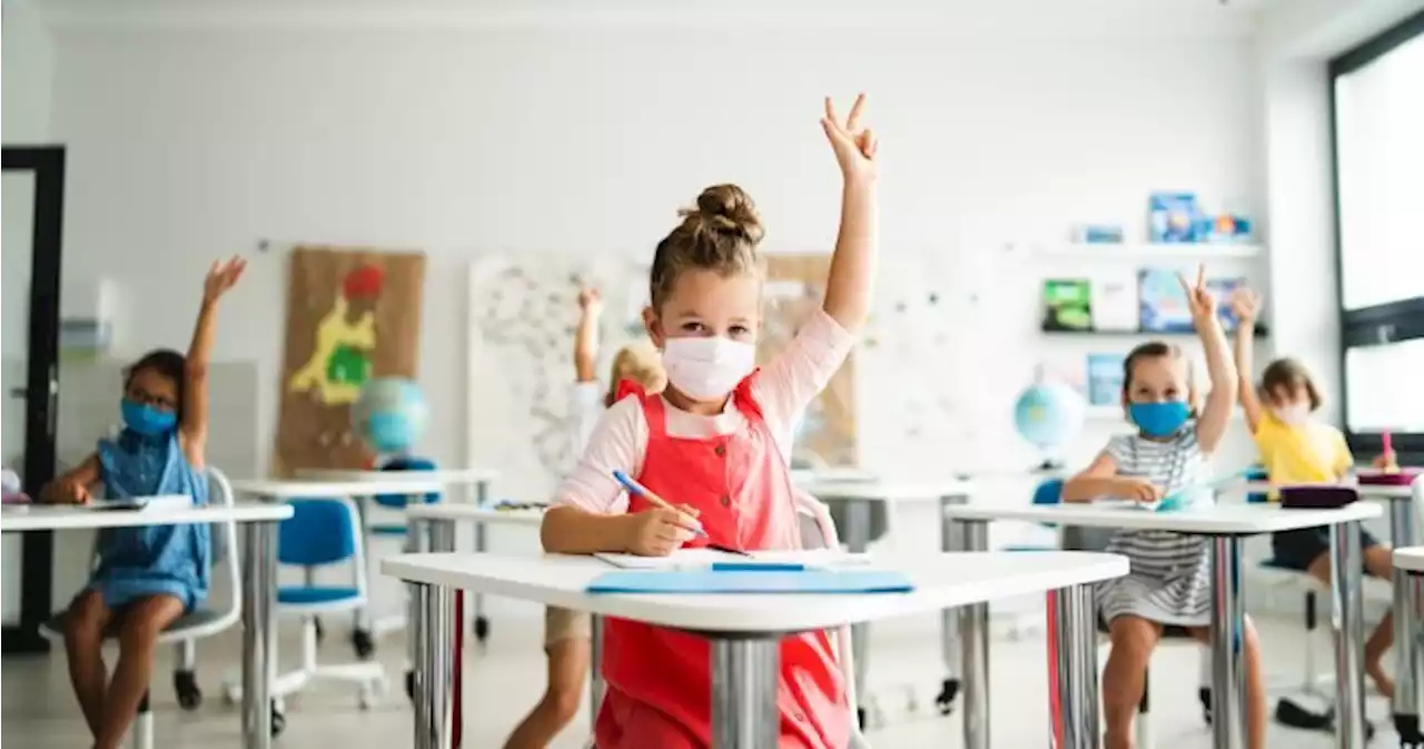 Back to school: Experts urge masking, vaccination as COVID-19 fall wave looms - National | Globalnews.ca