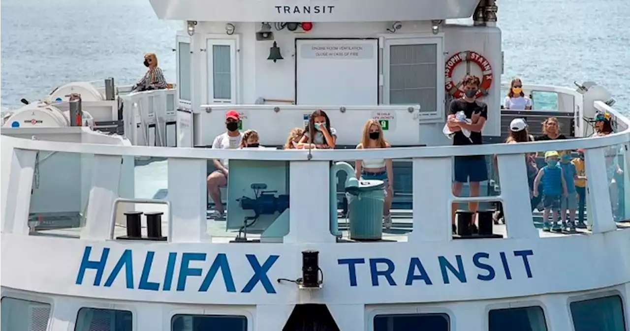 Halifax Transit staffing woes continue with ferry disruptions - Halifax | Globalnews.ca