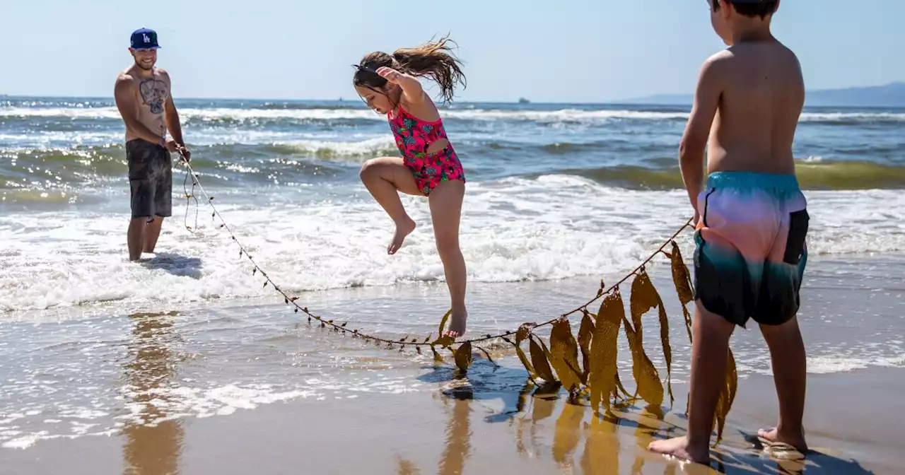 Heat wave forecast to hit Southern California just in time for Labor Day weekend