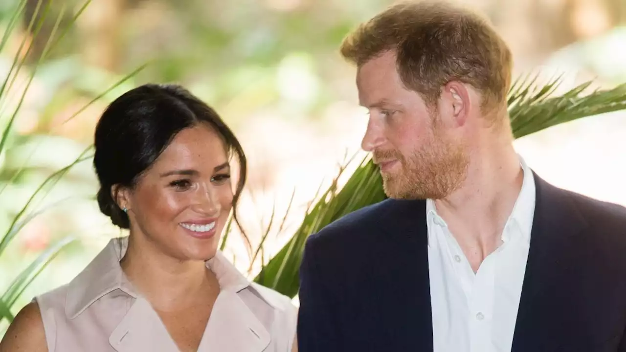 Prince Harry and Meghan Markle Have a Pair of Palm Trees in Their Garden That Represent Their Love