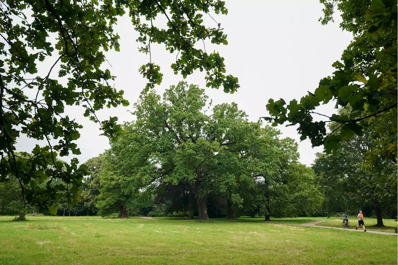 Nach Straftaten-Serie: Park im Norden wird zum Brennpunkt