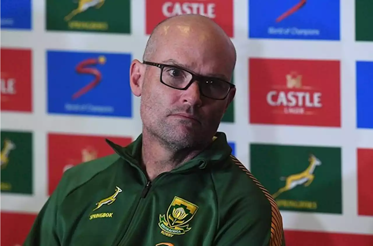 Adelaide loss sees Nienaber's Bok win record drop below 60%, but there are caveats | Sport