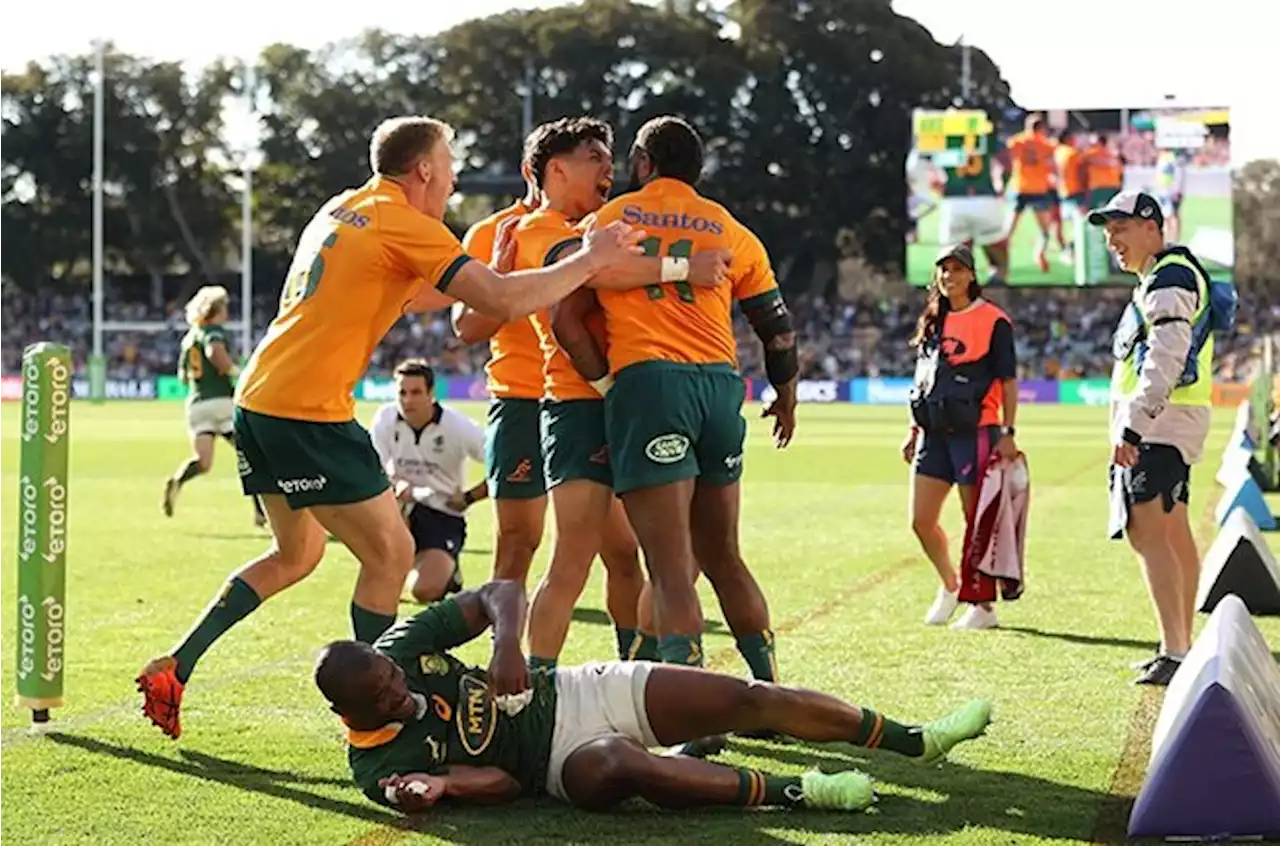 Bok coach frustrated after Wallabies loss: 'We created but didn't convert opportunities into points' | Sport